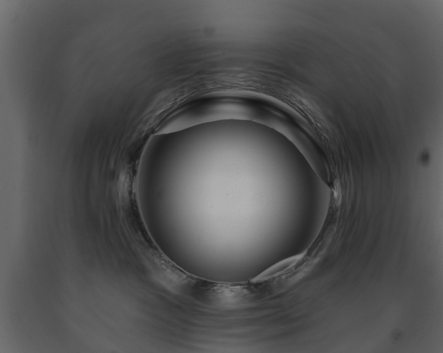 X0000091690333200708231446