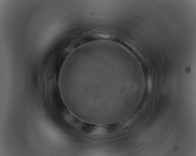 X0000091690335200708231446