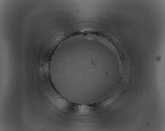 X0000091690336200708231446