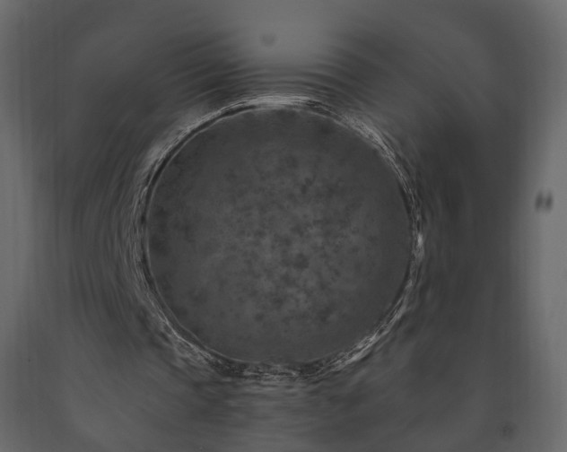 X0000091690337200708231445