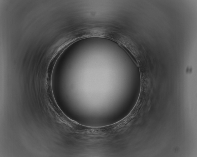 X0000091690338200708231445