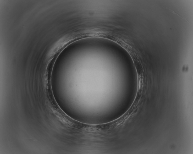 X0000091690339200708231445