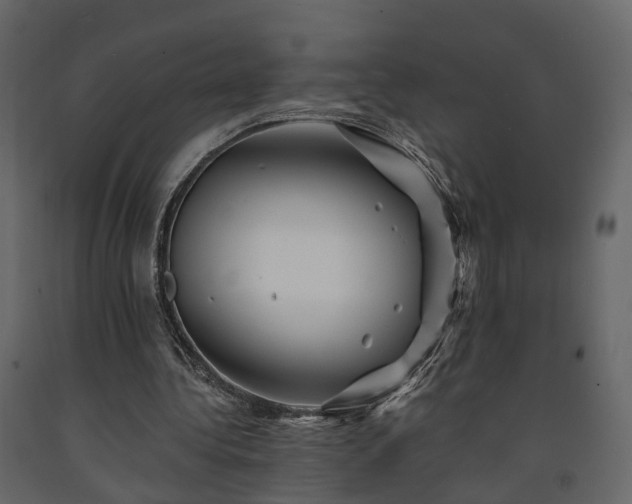 X0000091690340200708231445
