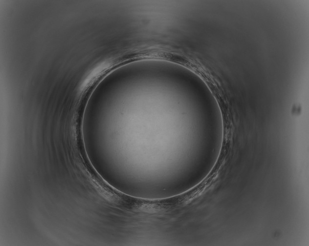 X0000091690341200708231445