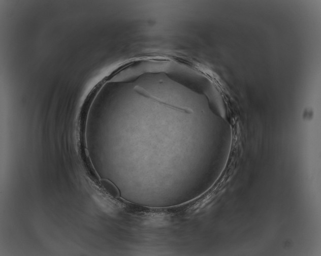 X0000091690342200708231445
