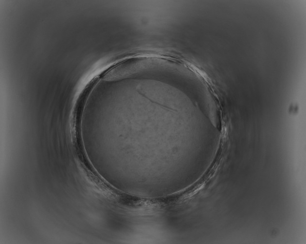 X0000091690343200708231445