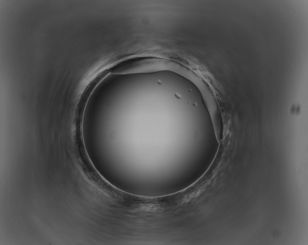X0000091690344200708231445