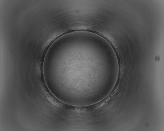 X0000091690345200708231445