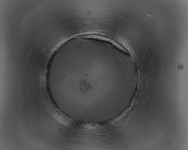 X0000091690346200708231445