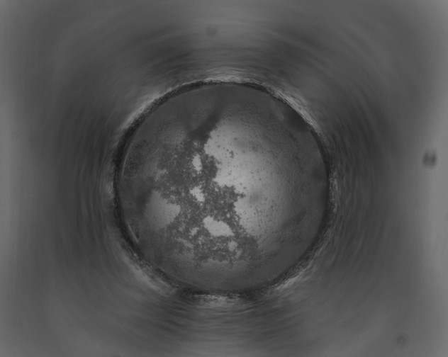 X0000091690347200708231445