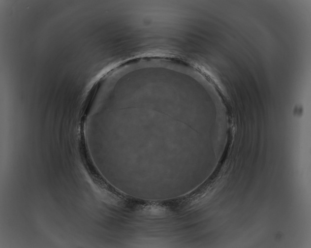 X0000091690348200708231445