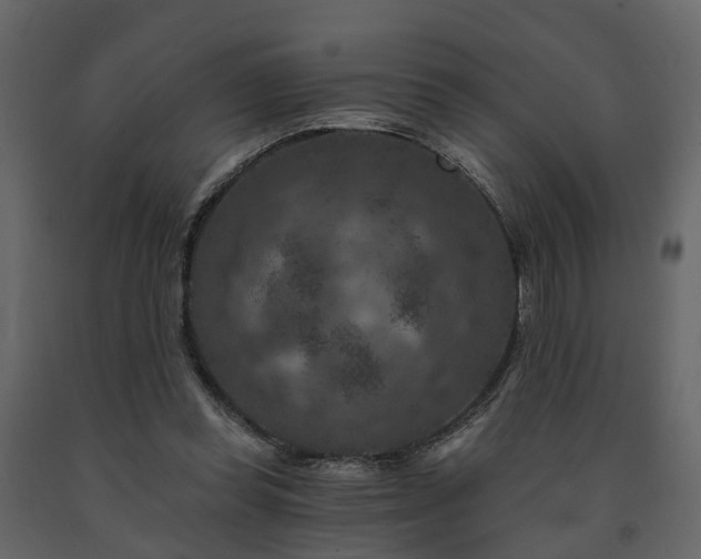 X0000091690349200708231445