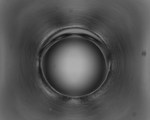 X0000091690350200708231445