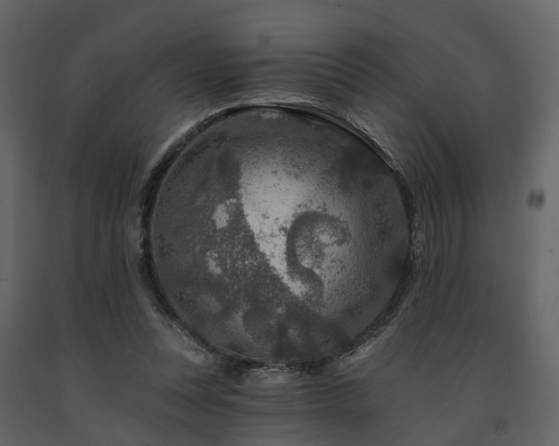X0000091690351200708231445