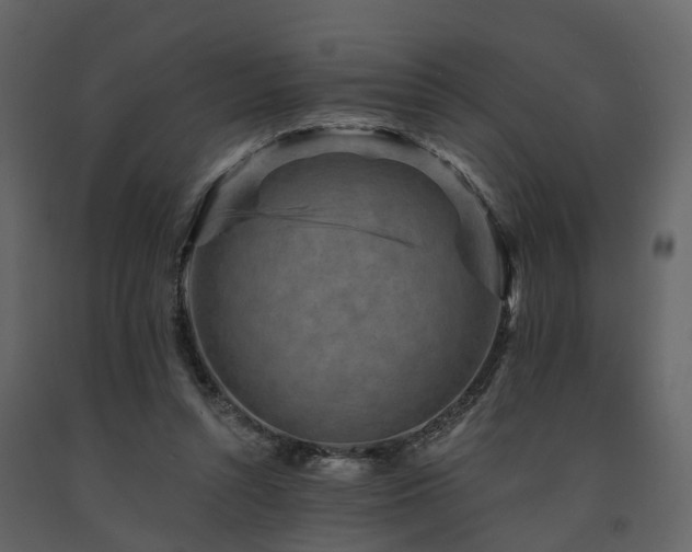 X0000091690352200708231445