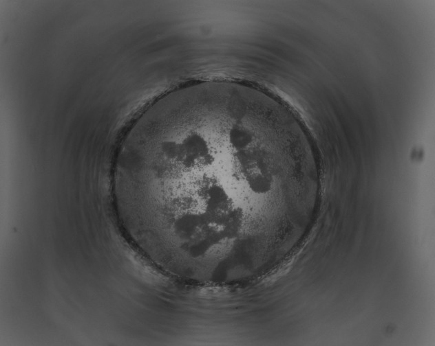 X0000091690353200708231445