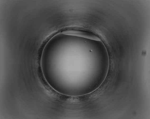 X0000091690354200708231445