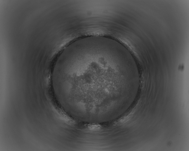 X0000091690355200708231445