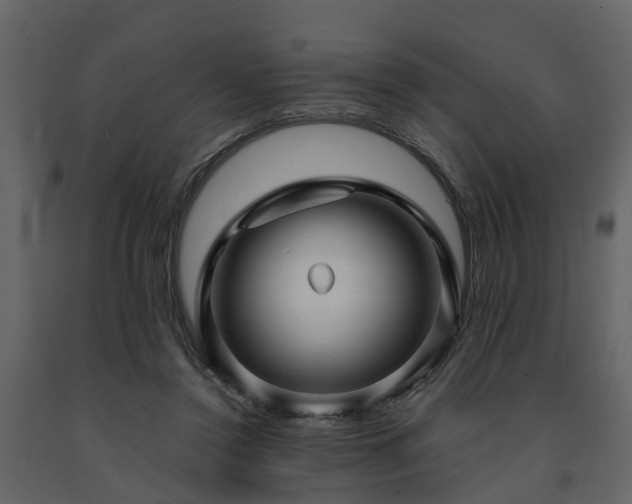 X0000091690356200708231445