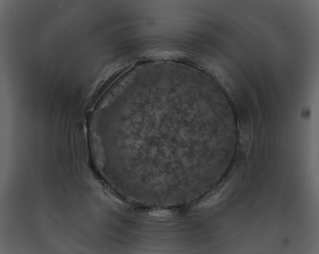 X0000091690357200708231445