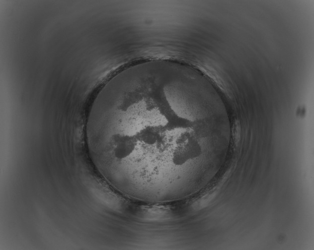 X0000091690359200708231445