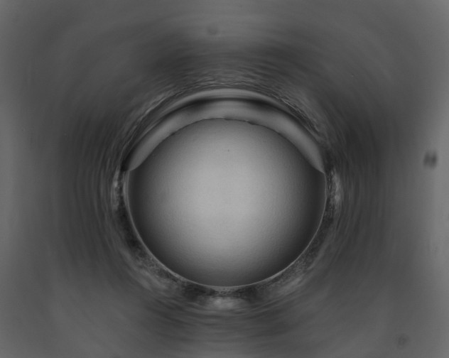 X0000091690360200708231445