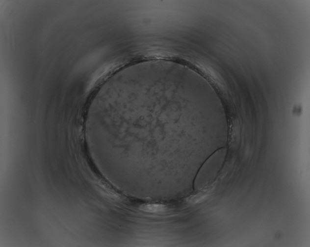 X0000091690361200708231445