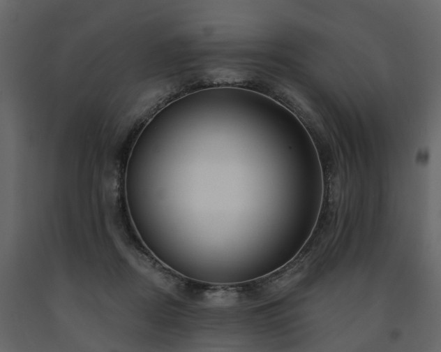 X0000091690362200708231445