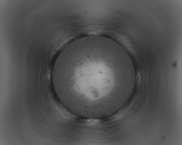 X0000091690363200708231445