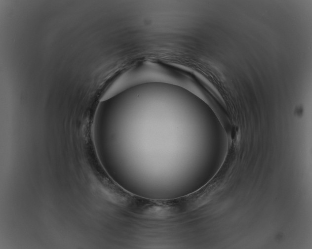 X0000091690364200708231445