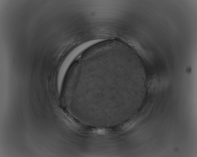 X0000091690365200708231445
