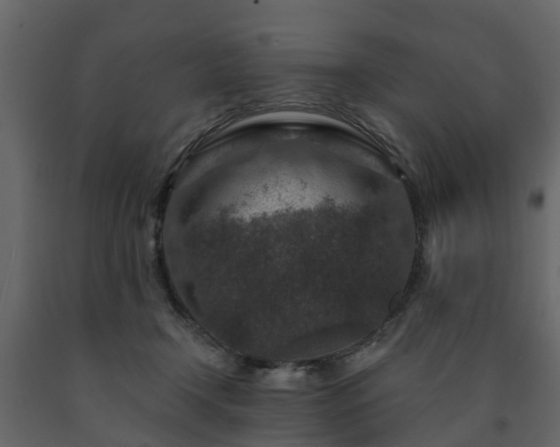 X0000091690366200708231445
