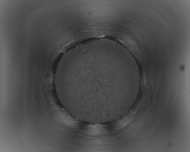 X0000091690367200708231445