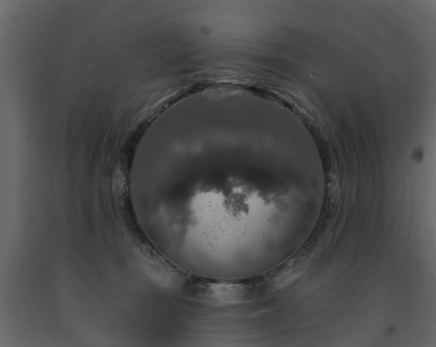 X0000091690371200708231445