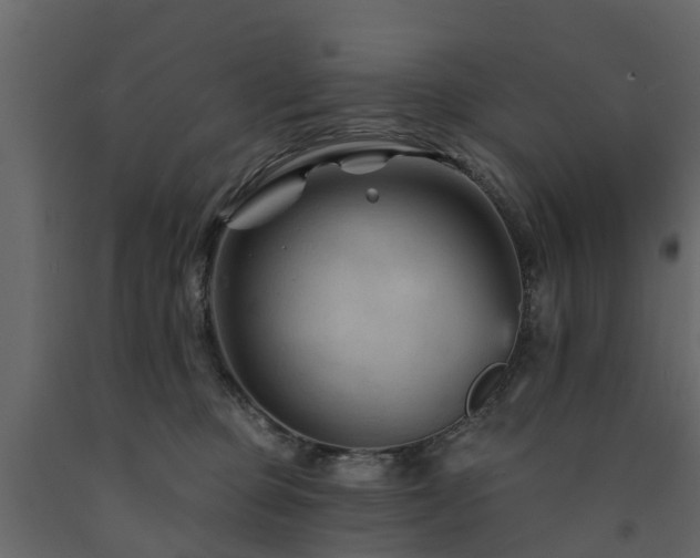 X0000091690373200708231445