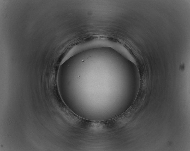 X0000091690376200708231445