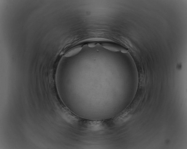 X0000091690377200708231445