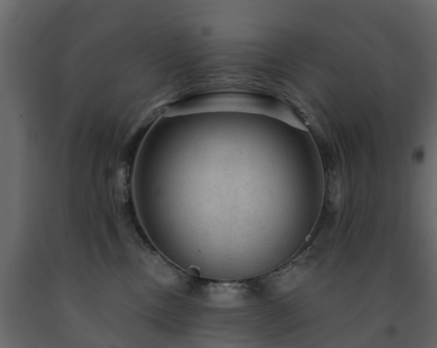 X0000091690378200708231445