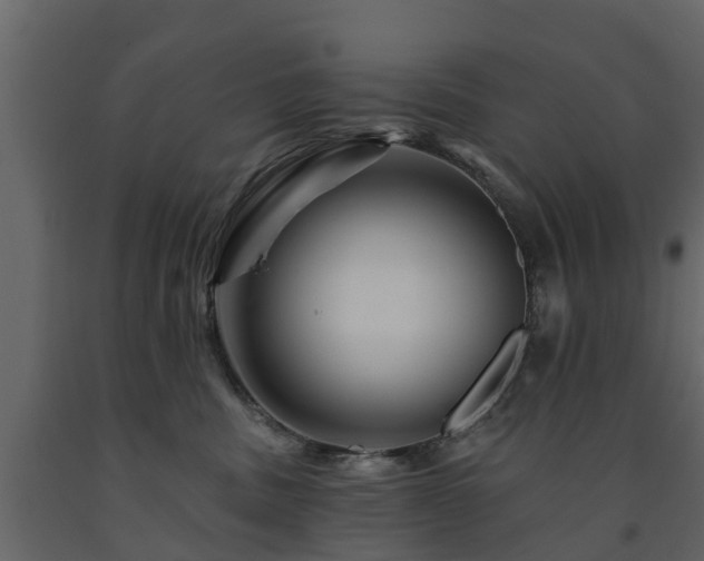 X0000091690379200708231445
