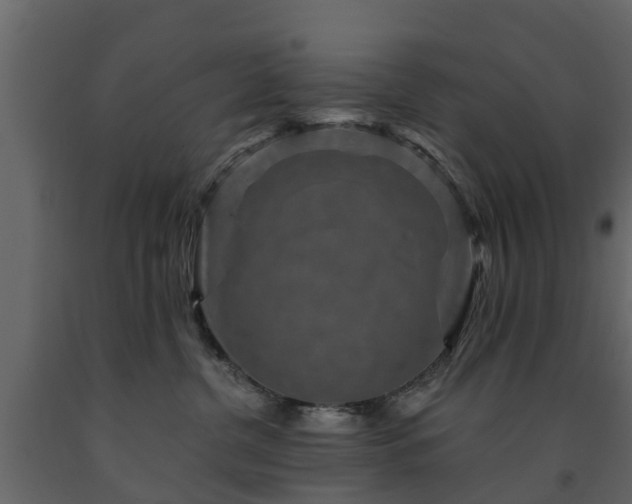 X0000091690380200708231445