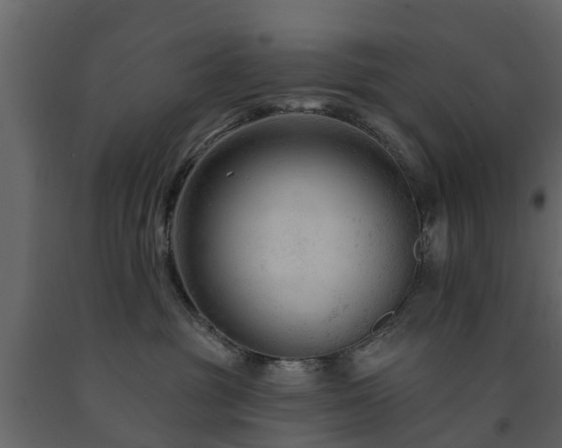 X0000091690381200708231445