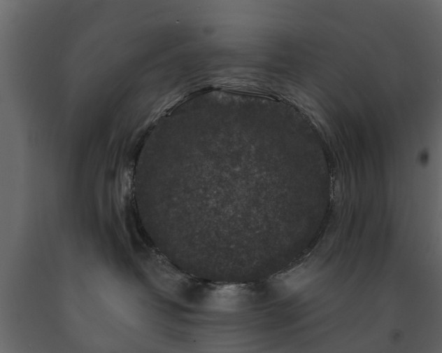 X0000091690382200708231445