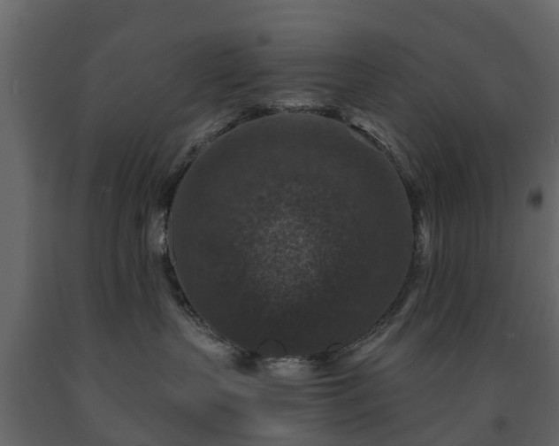 X0000091690383200708231446