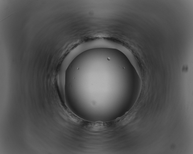 X0000091690384200708231446