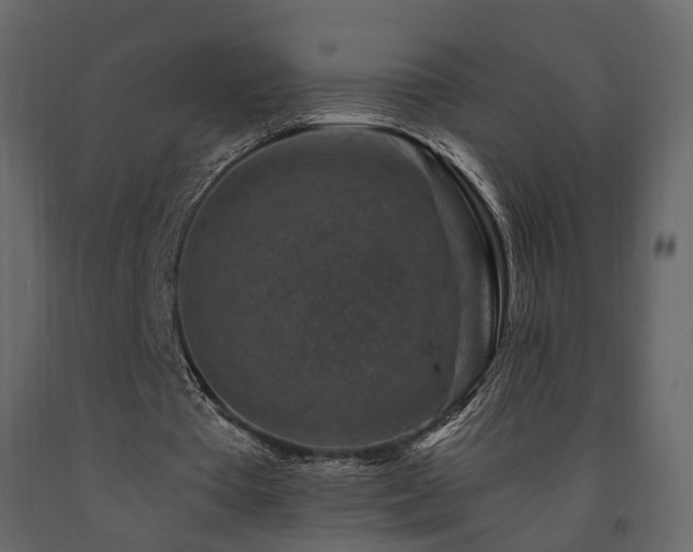 X0000091690385200708231445
