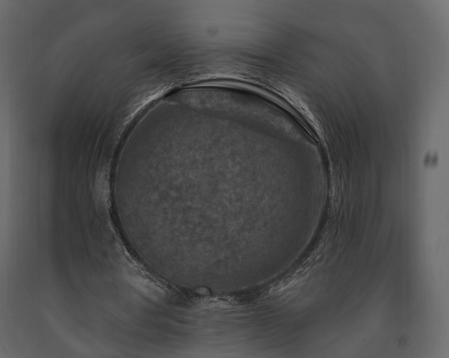 X0000091690386200708231445