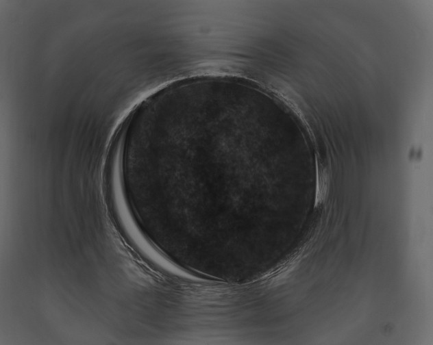 X0000091690387200708231445
