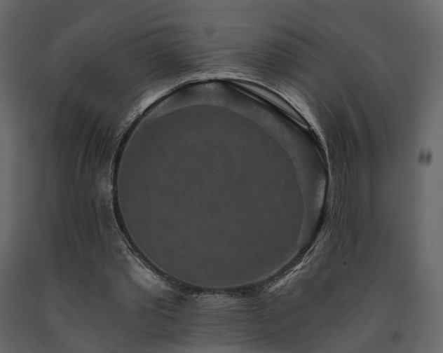 X0000091690389200708231445