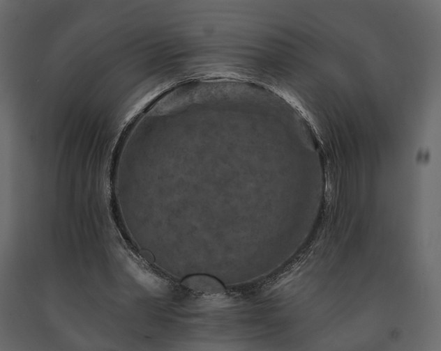 X0000091690390200708231445