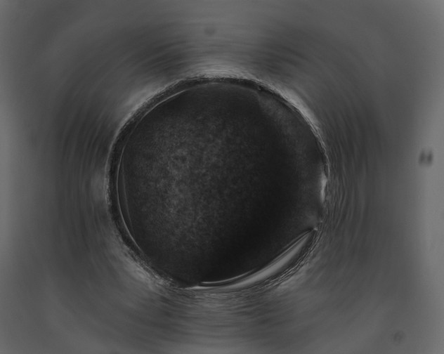 X0000091690391200708231445